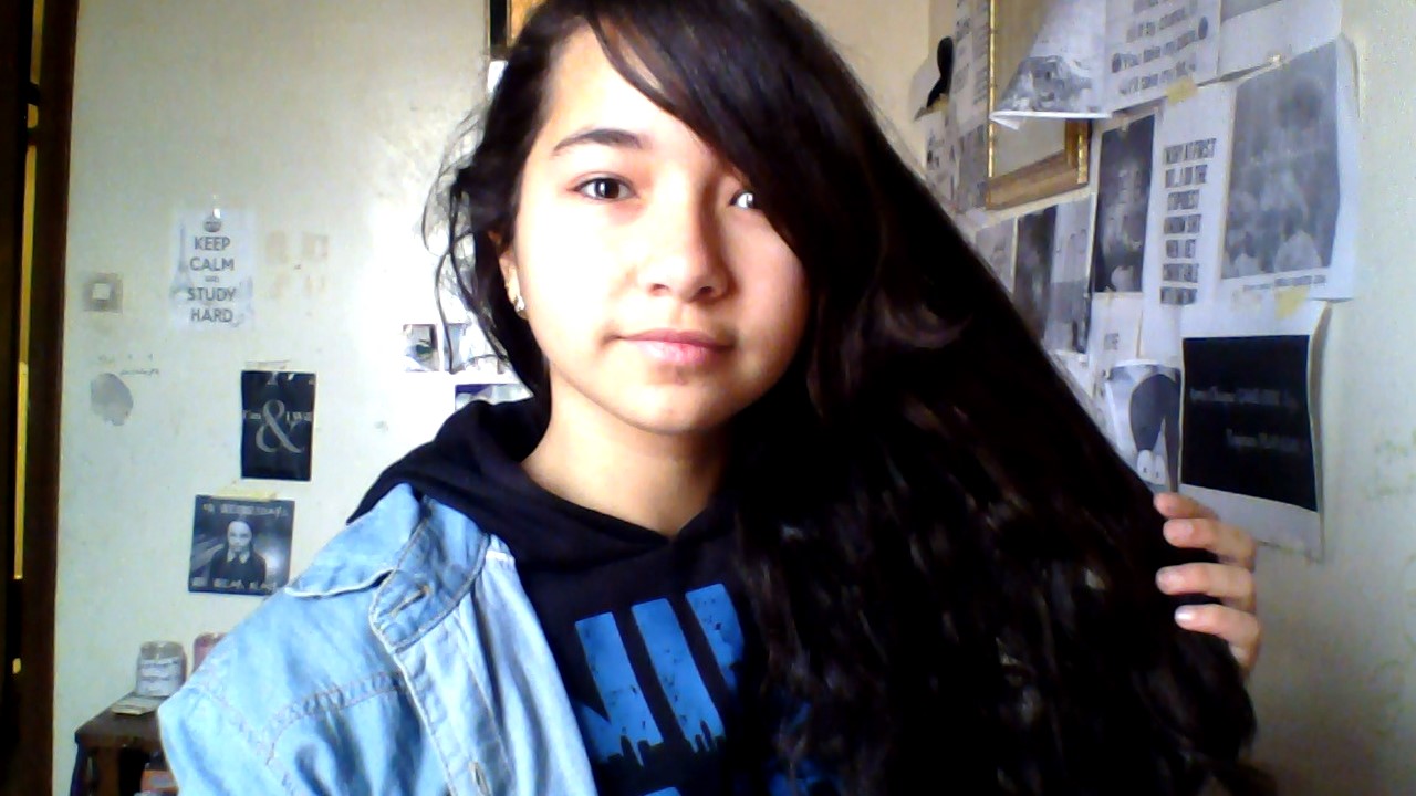 Diy Pony Dry Nerdenta