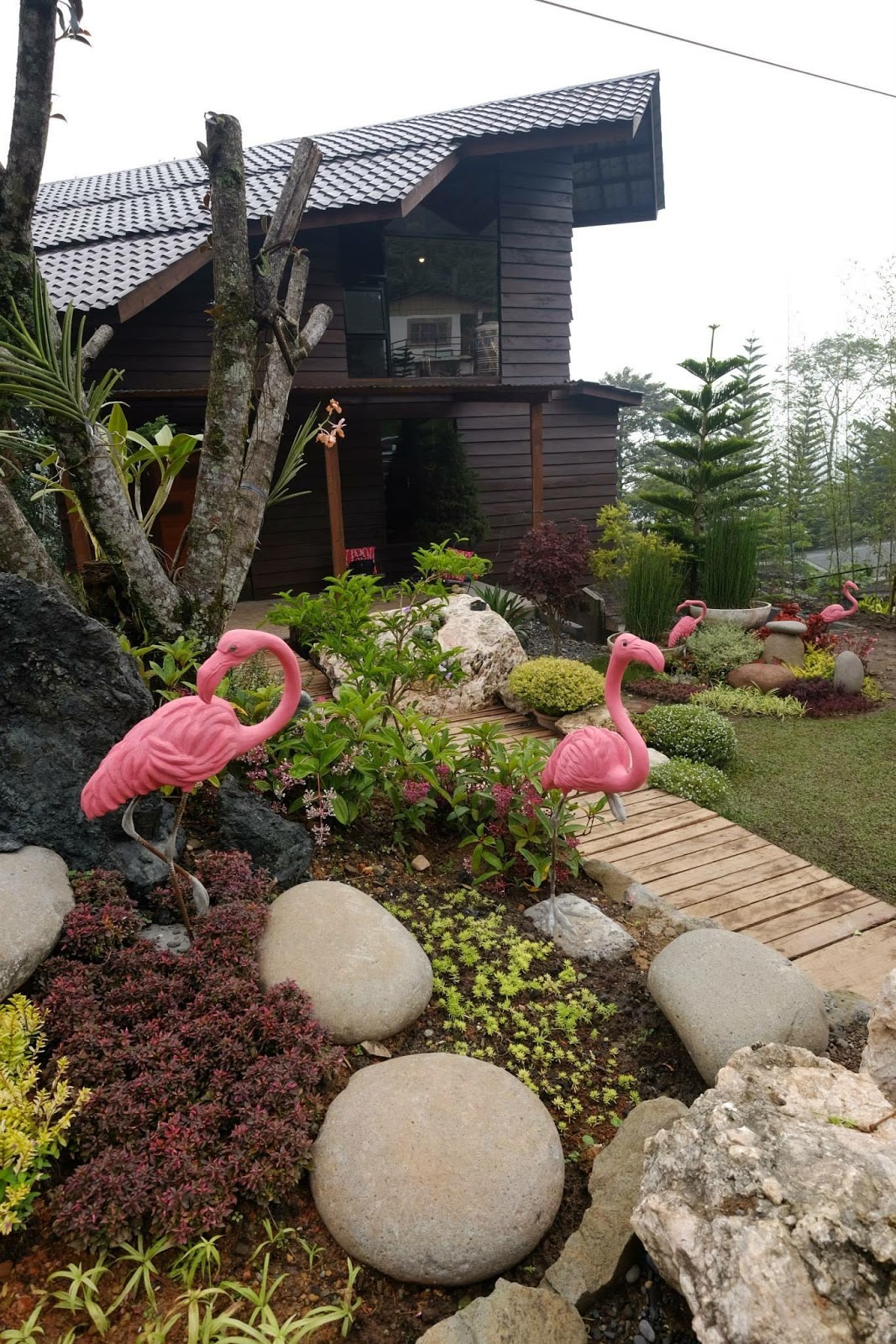 All About Davao City Buda Vista Vacation House