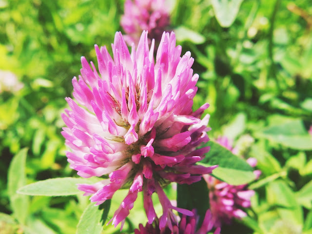 Seikkailua Itä-Helsingissä