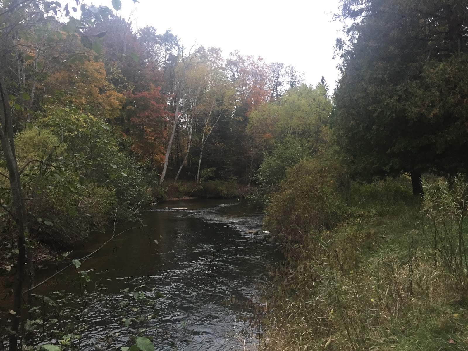 Travel Reviews & Information Luther, Michigan / Silver Creek State