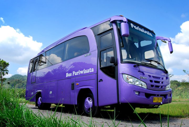 Mewah dan Menawan: Mengulas Bus Pariwisata Medium Warna Ungu