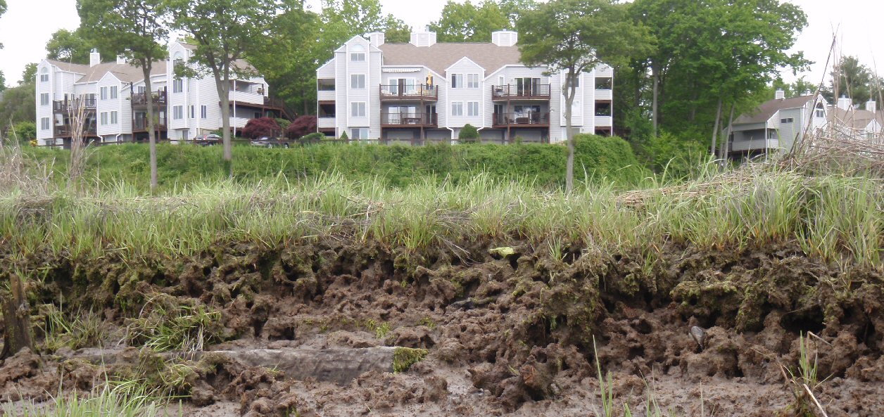 PenobscotPaddles Branford Harbor