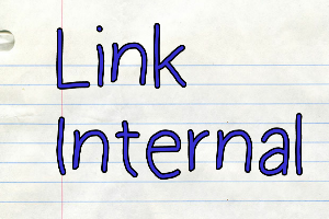 Pengertian Internal Link dan External Link