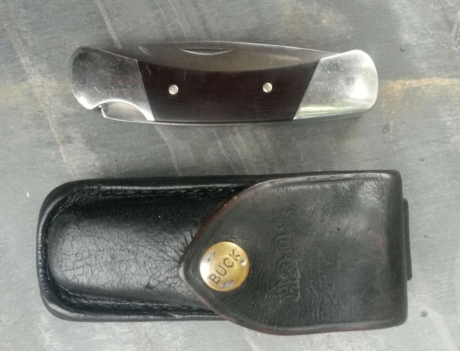 Buck500_03.jpg