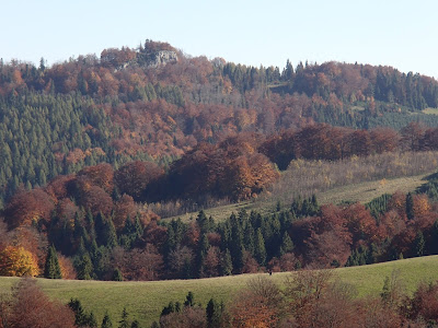Schronisko pod Durbaszką, wąwóz Homole, jesień w Pieninach, grzyby na góeskich łąkach, grzyby chronione, wilgotnice