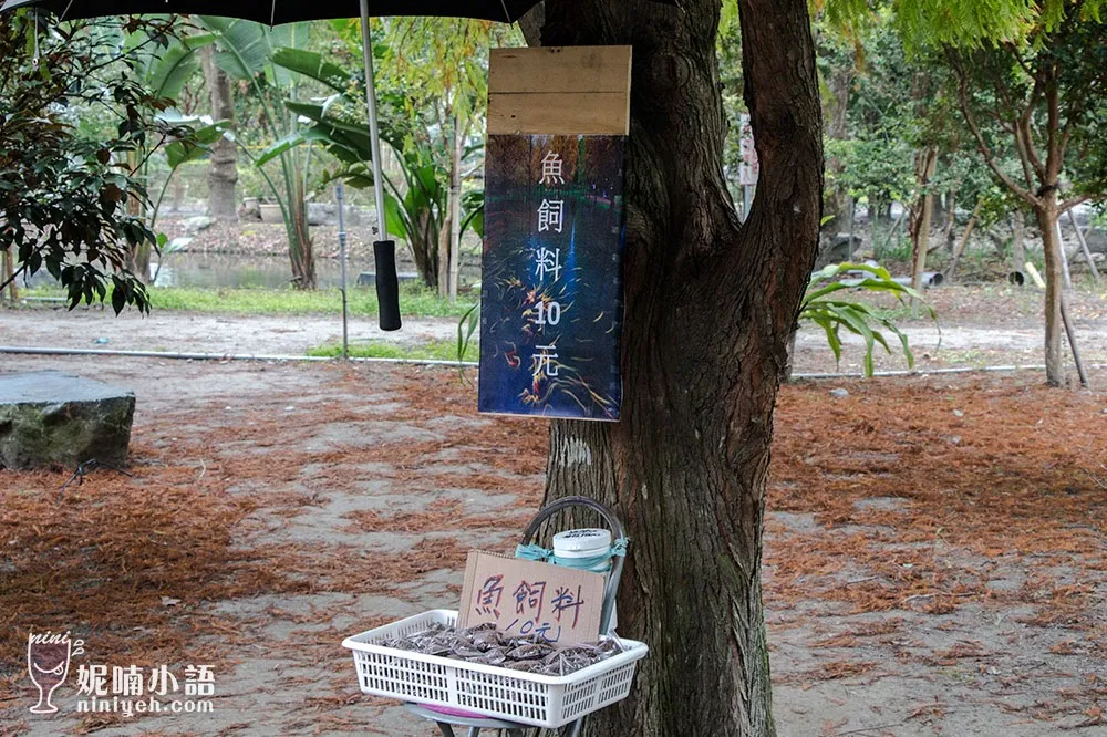 【花蓮秘境】鈺展苗圃。秋冬限定絕美落羽松秘境