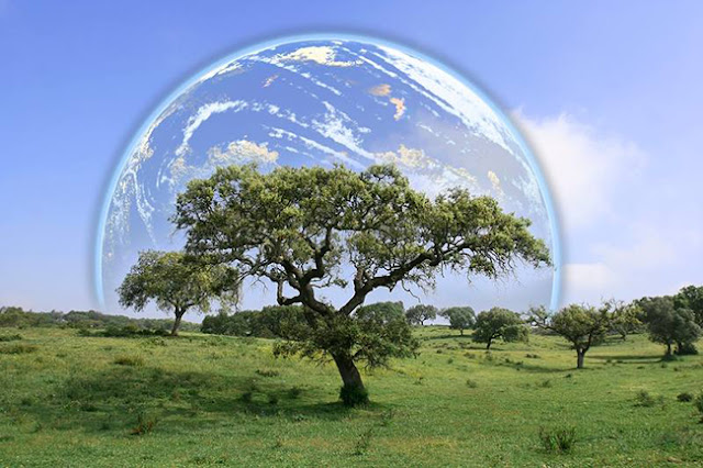 World Environment Day hd wallpapers World Environment Day hd wallpapers