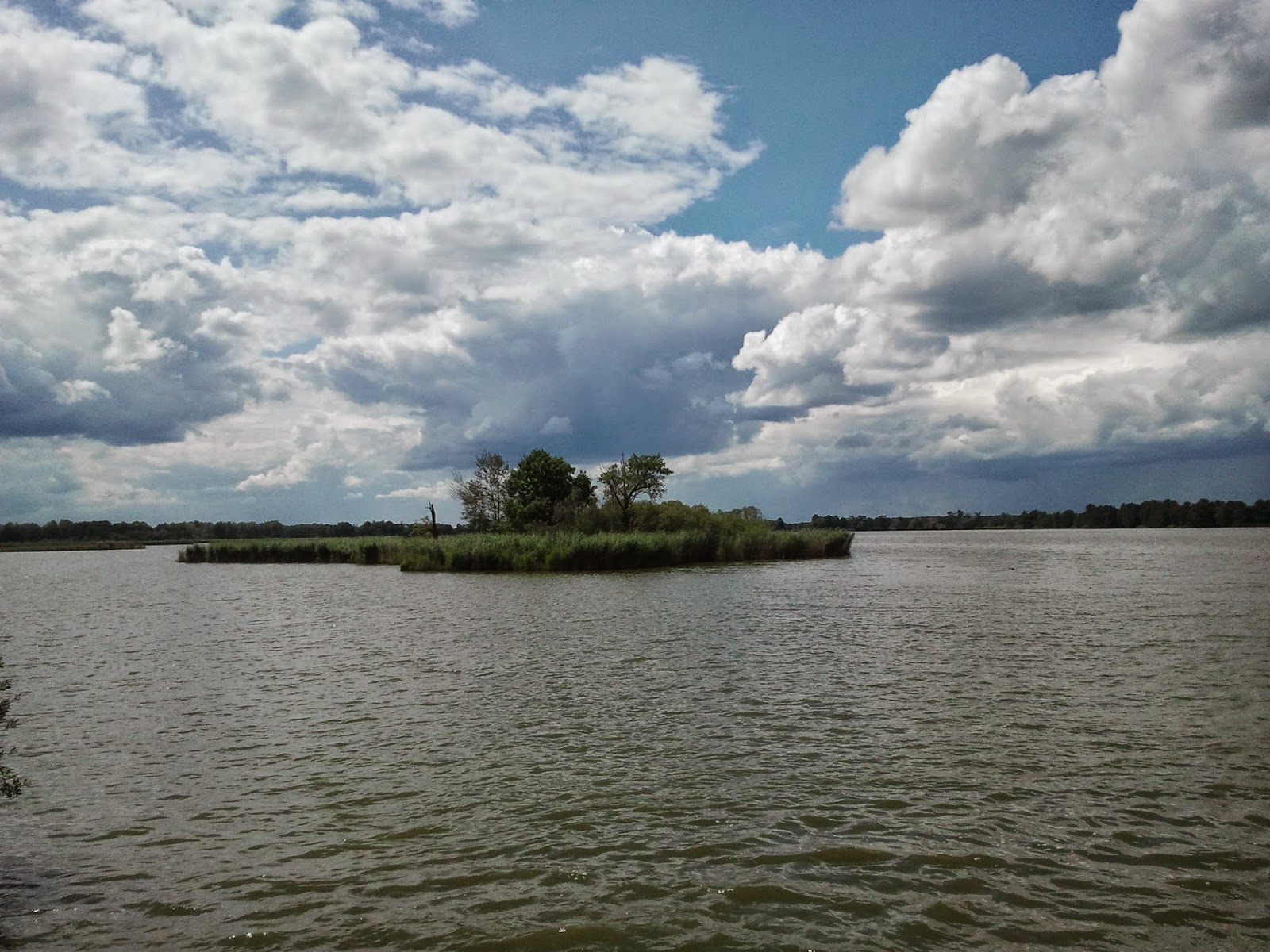 Moje Podróże Stawy Milickie