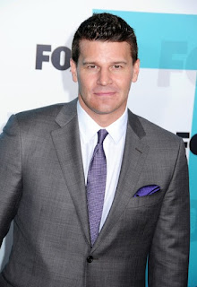 davidboreanazagenteseeleybooth