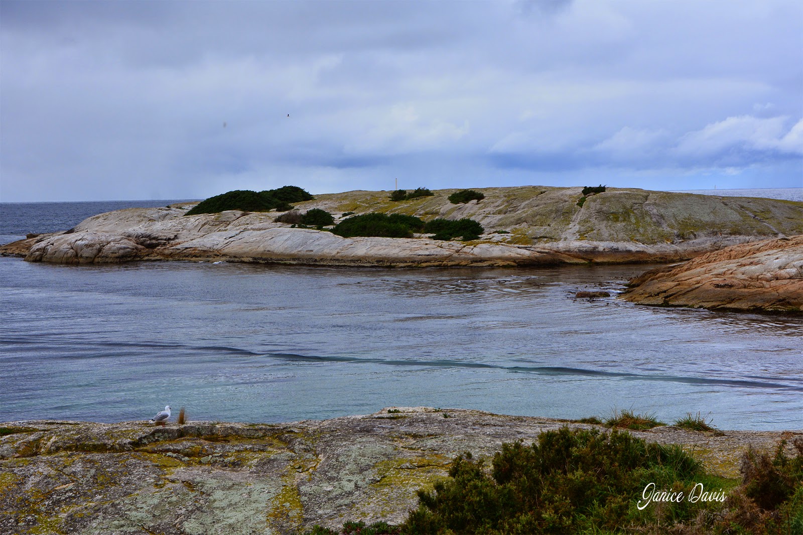 thoughts & happenings The Gulch, Bicheno, Tasmania.