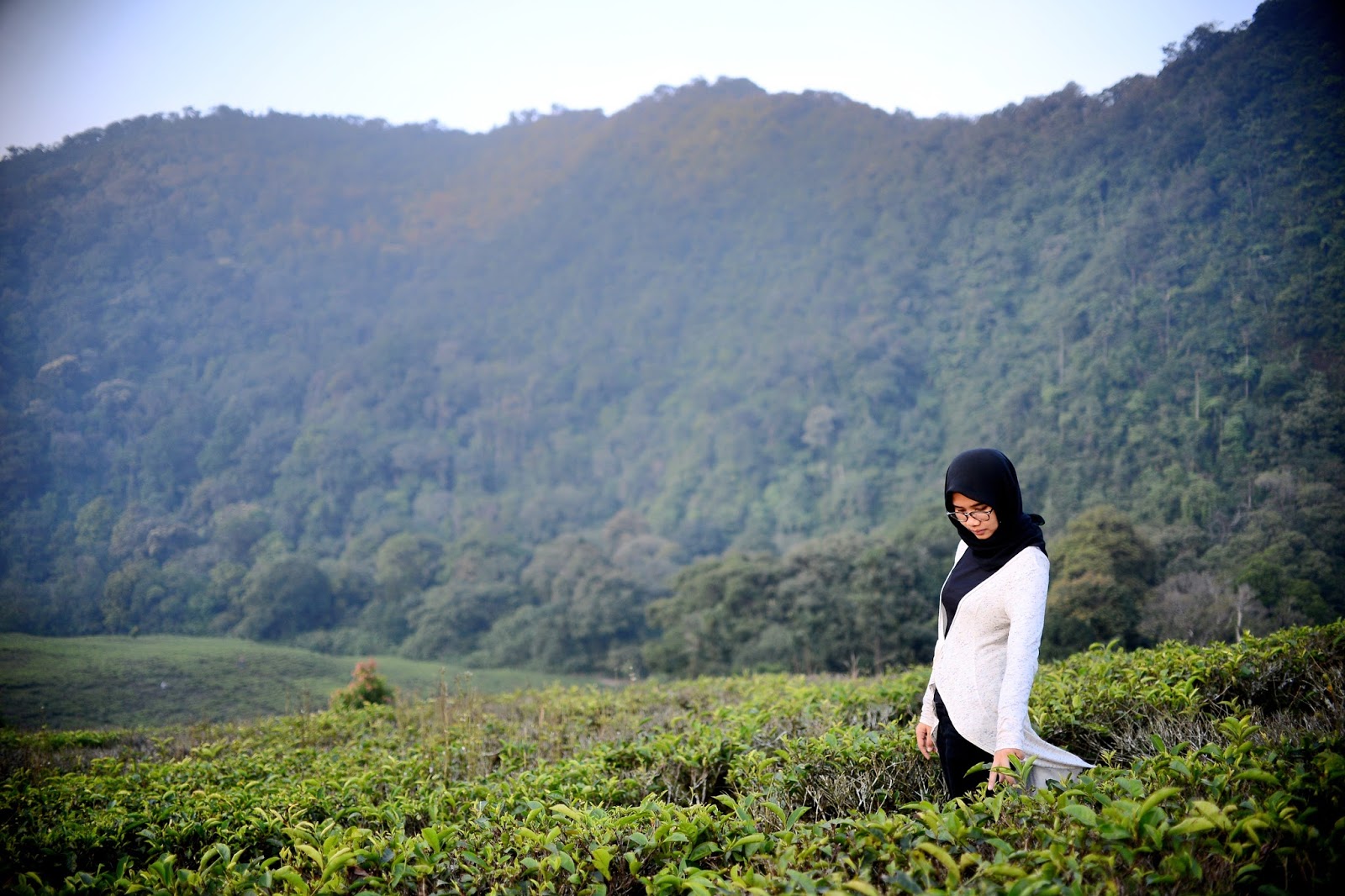 Revenge is Sweet: Main di Kebun Teh Puncak Revenge is Sweet: Main di Kebun Teh Puncak