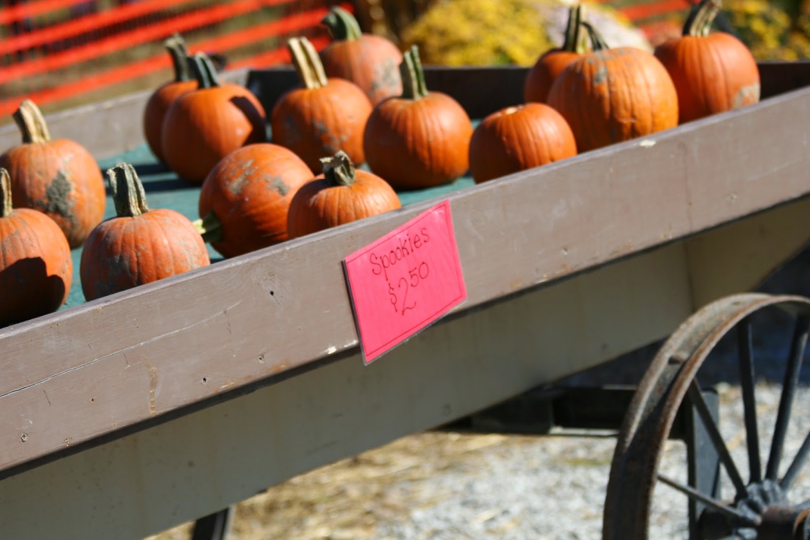 Puddle Jumping: Free Fall Word Scramble