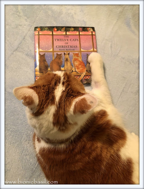 Amber's Book Reviews #262 ©BionicBasil® The Twelve Cats of Christmas by Kandy Radzinski