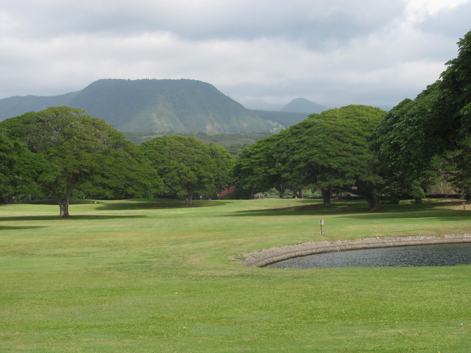 My Slice of Golf (John B) Sea Mountain Resort, Punaluu Big island Hawaii