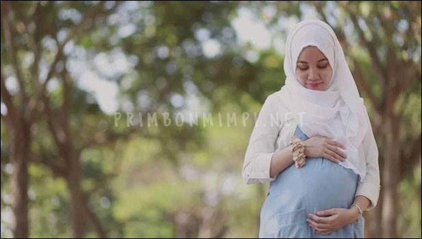 Arti Mimpi Hamil Besar Mimpi Hamil Besar