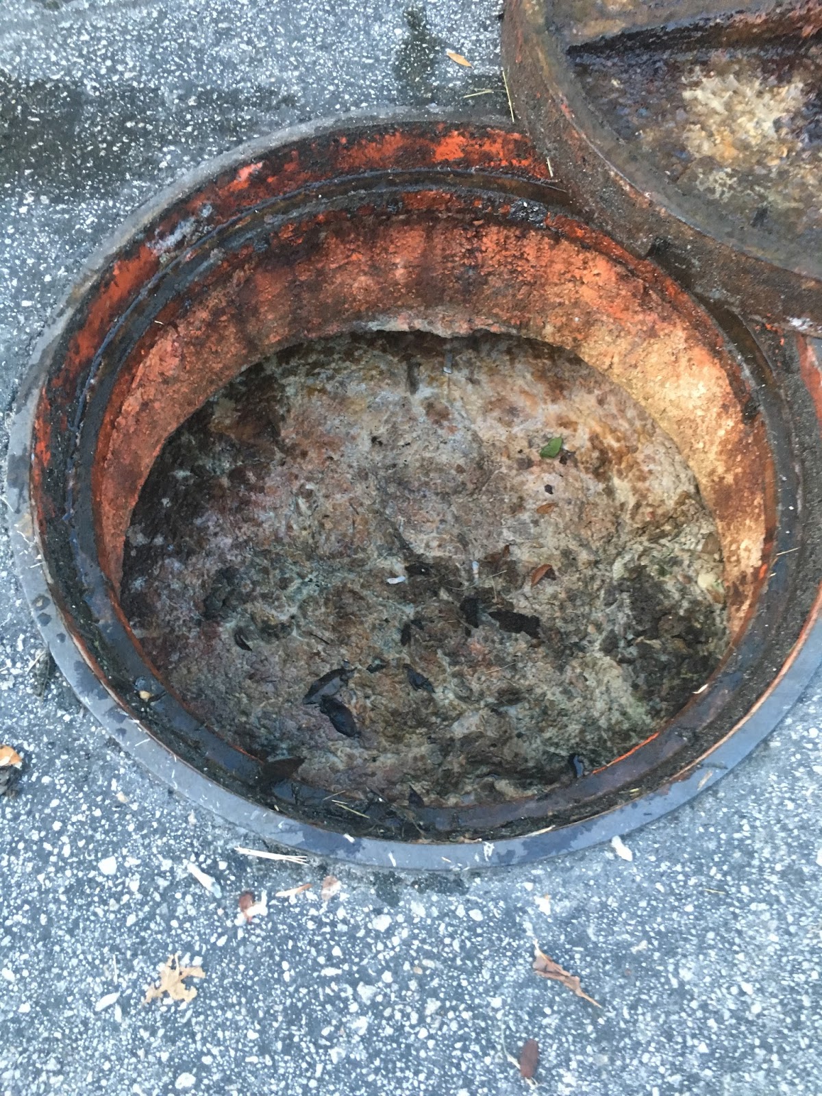 Pump Outs Unlimited Grease traps in North Miami Beach