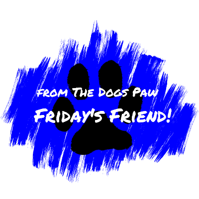 Dog Adoption Dog