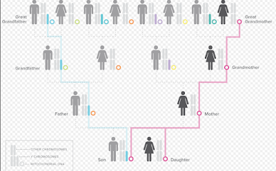 Roots & Recombinant DNA: Guide to Building Your Family Haplotree