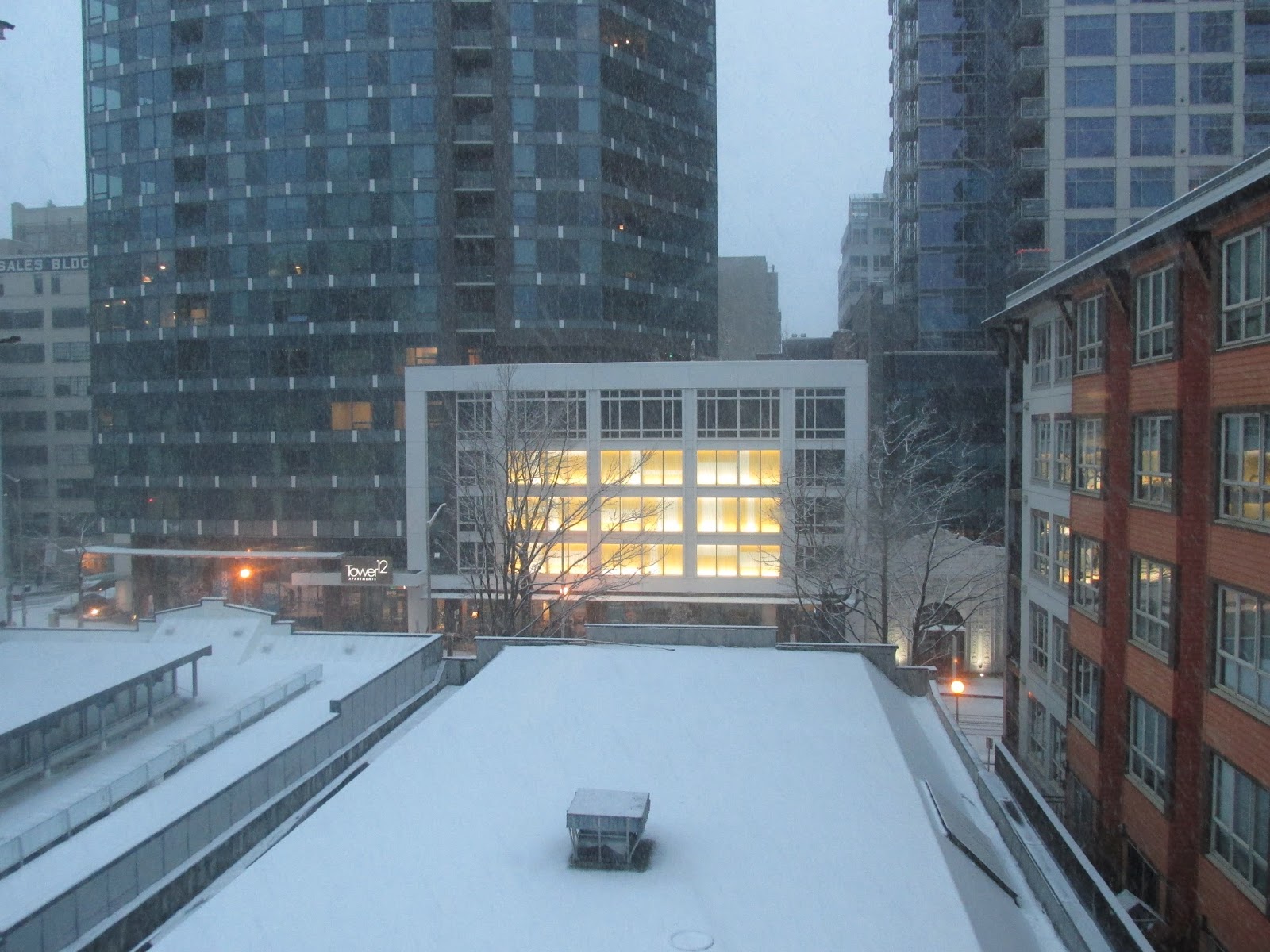 The Freedom Fighter's Journal: RARE SEATTLE SNOW: CHRISTMAS DAY 2017 PART I