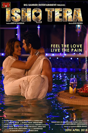 Ishq Tera (2018) Movie Poster Ishq Tera (2018) Movie Poster