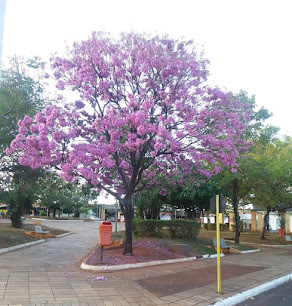 Praça Edgard Ájax