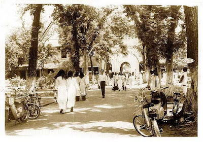 Cái bóng học trò- Cái bóng học trò-
