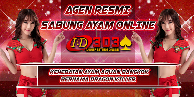 KEHEBATAN AYAM ADUAN BANGKOK BERNAMA DRAGON KILLER KEHEBATAN AYAM ADUAN BANGKOK BERNAMA DRAGON KILLER