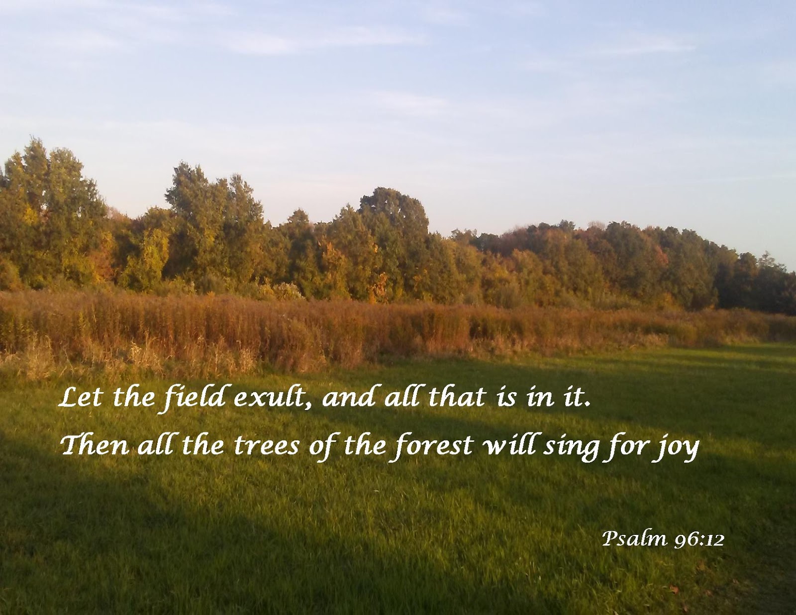 Scarlet Robe Scripture Verses Psalm 96 12 scarlet-robe-scripture-verses-psalm-96-12