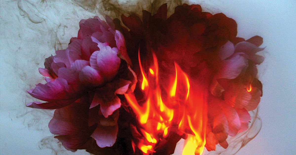 FEAR/LOATHING BLOODY KNIVES I WILL CUT YOUR HEART OUT FOR THIS