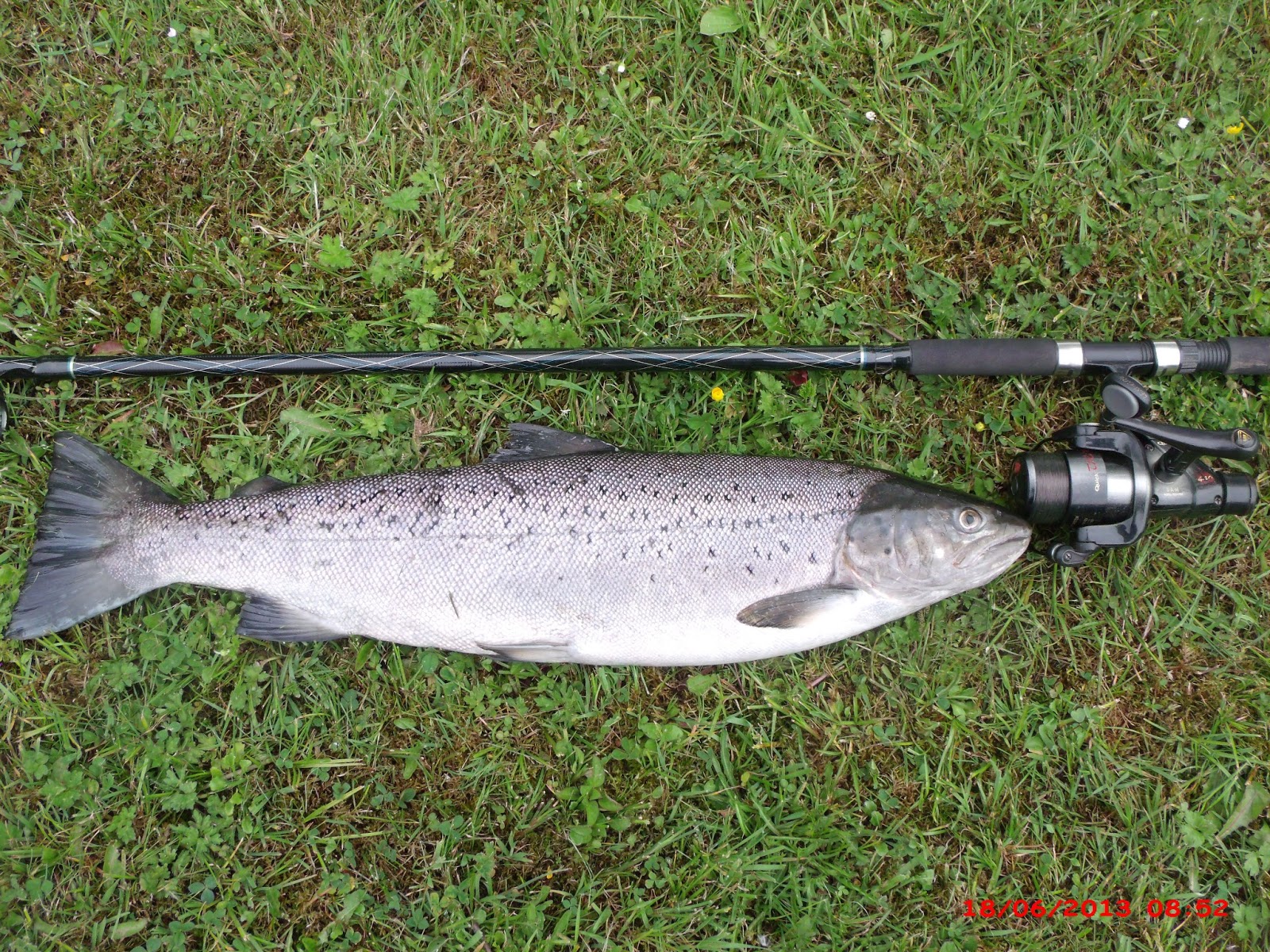 Nickseatrout,s blog. Fishing the river towy for salmon and sea trout