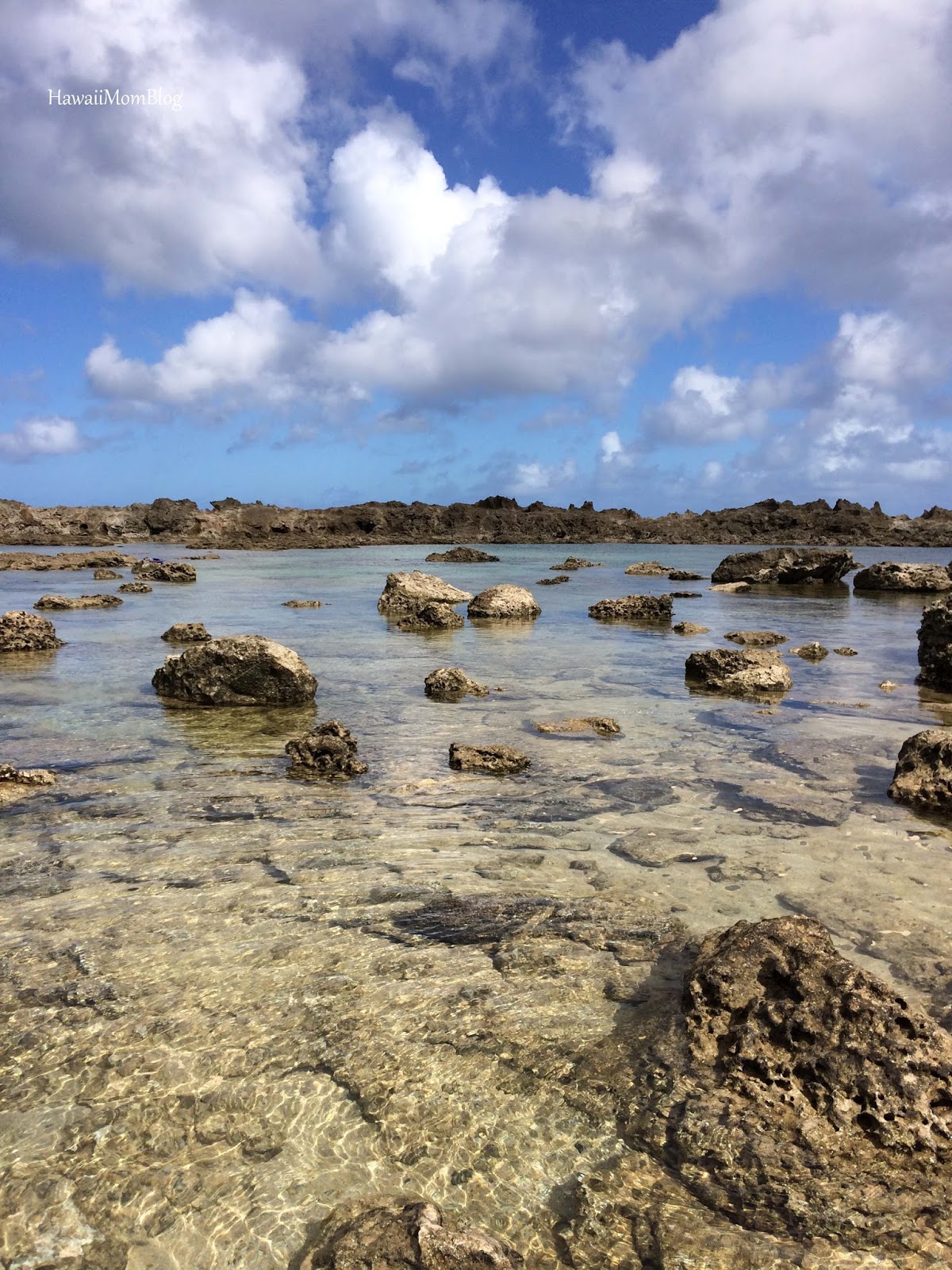 Hawaii Mom Blog Pupukea Tide Pools