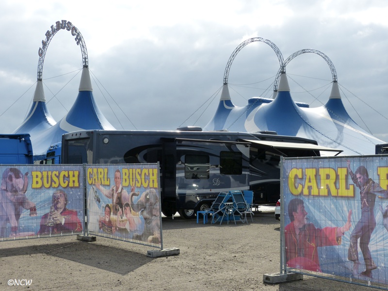 Norberts Internationale Circuswelt: Circus Carl Busch 