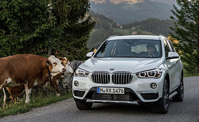 X1 2016 BMW X1 white cows