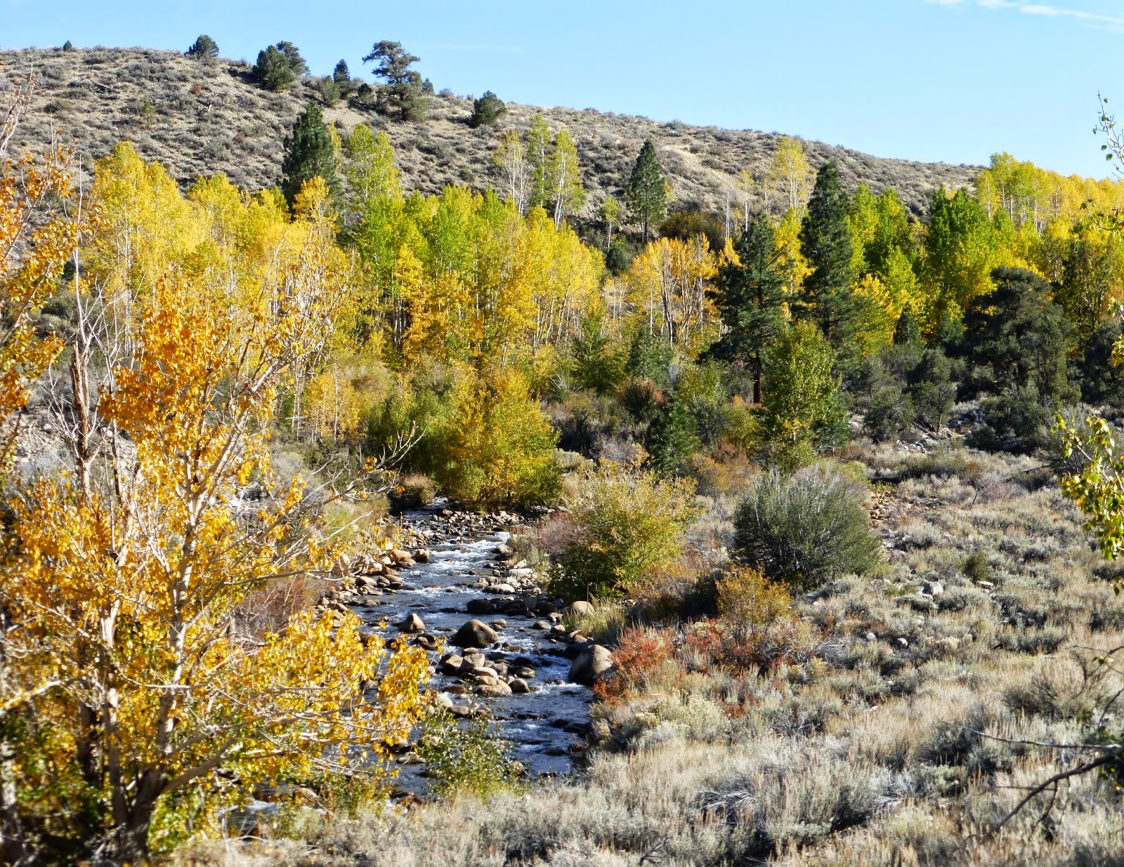 Metamorphosis Road Lee Vining, CA, Gateway to Abundance