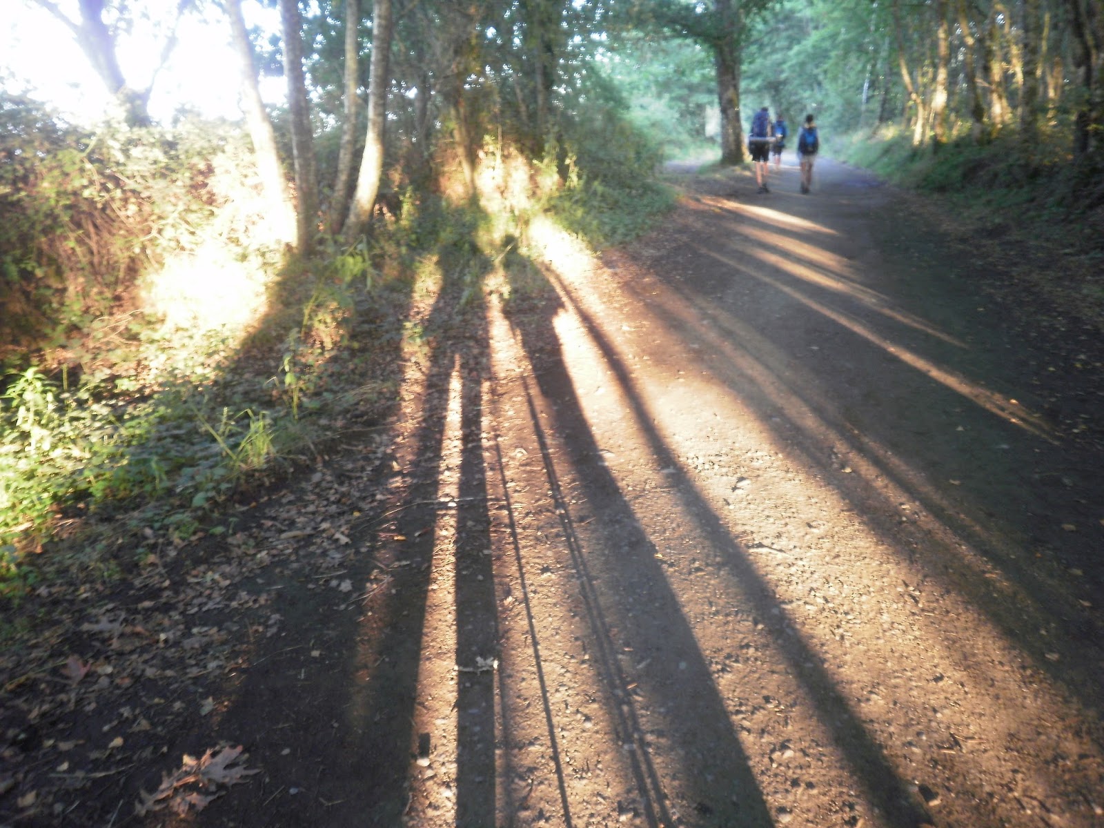 EL BLOG DE JOSÉ ESPINO: Camino de Santiago 2010 -2012. Etapa 32. Arzúa