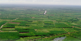 Produção de perímetros irrigados da Codevasf cresce 11% e alcança R$ 1,4 bilhão em 2012