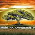 Молитва которая снимает «кармические» или родовые проблемы нескольких поколений