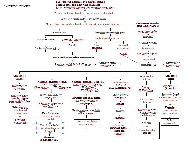 Stroke Care Pathway