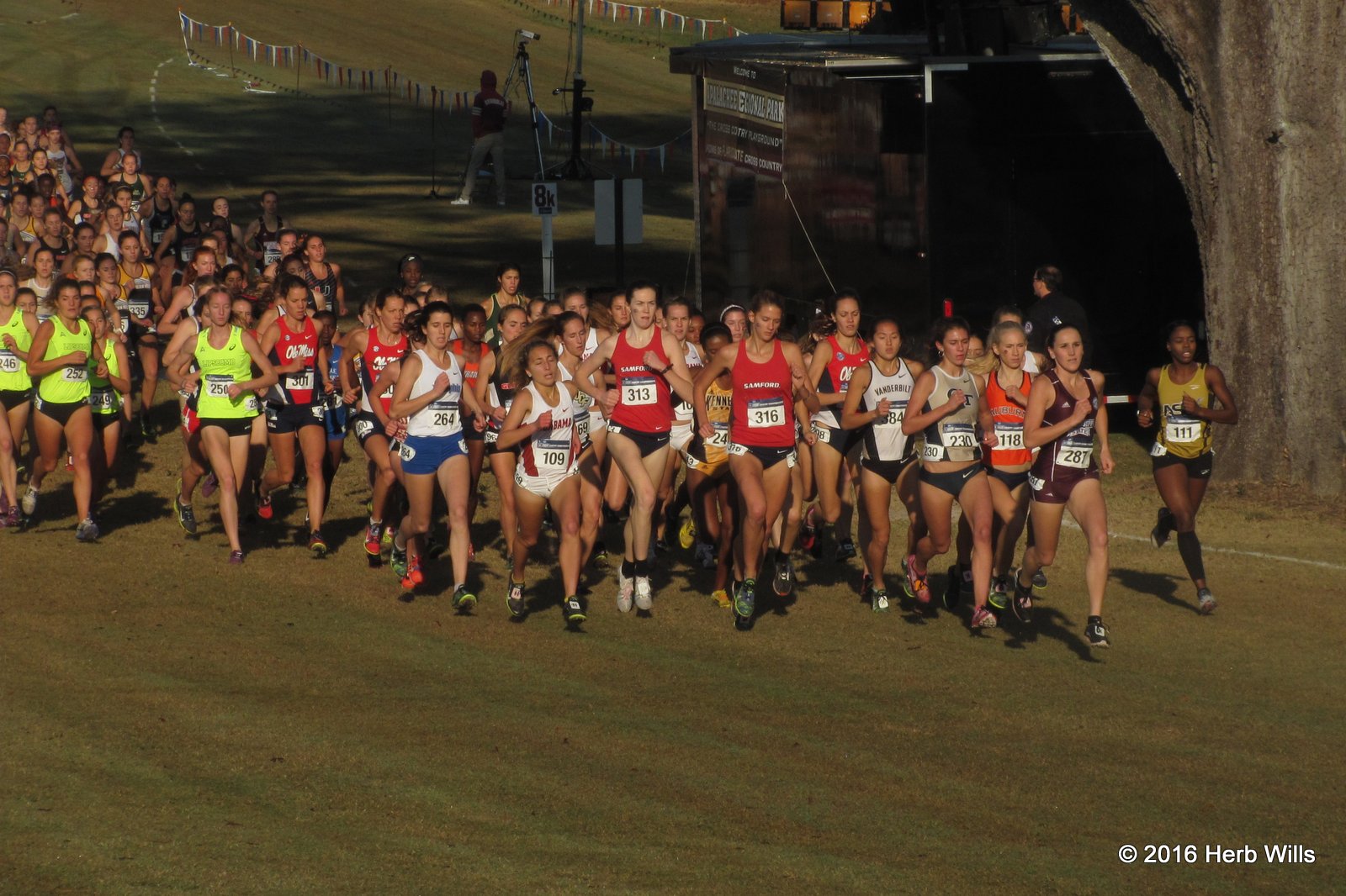 Trouble Afoot! The NCAA CrossCountry Nationals are coming to Tallahassee