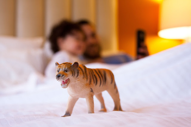 A dreamy San Francisco getaway Hotel Del Sol rooms are bright and colorful!