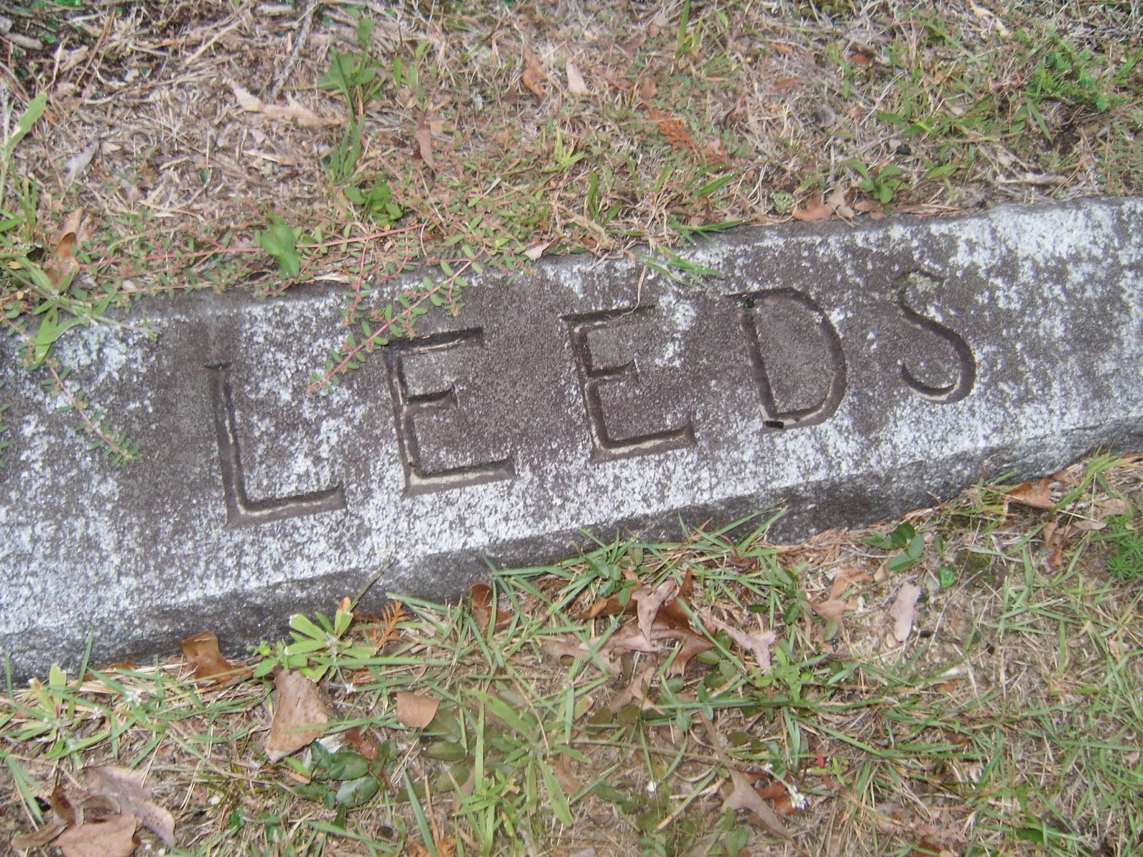 Abandoned, Roadside and Historic DEBORAH SMITH LEEDS Did she give