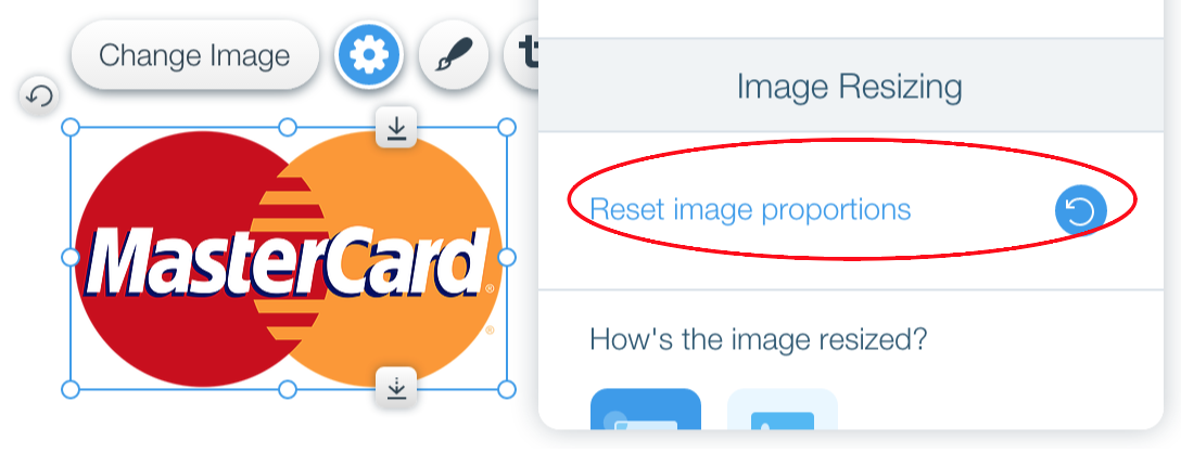 Mindy Turner Resizing Images Proportionally Without Cropping In Wix