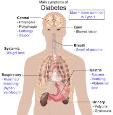 https://4.bp.blogspot.com/-NpliDRlW0og/WMu3PFC-y4I/AAAAAAAACZQ/WlIR1x0-k94-GukPPyhGBehBc_k4nEmwgCLcB/s1600/diatetes.jpg