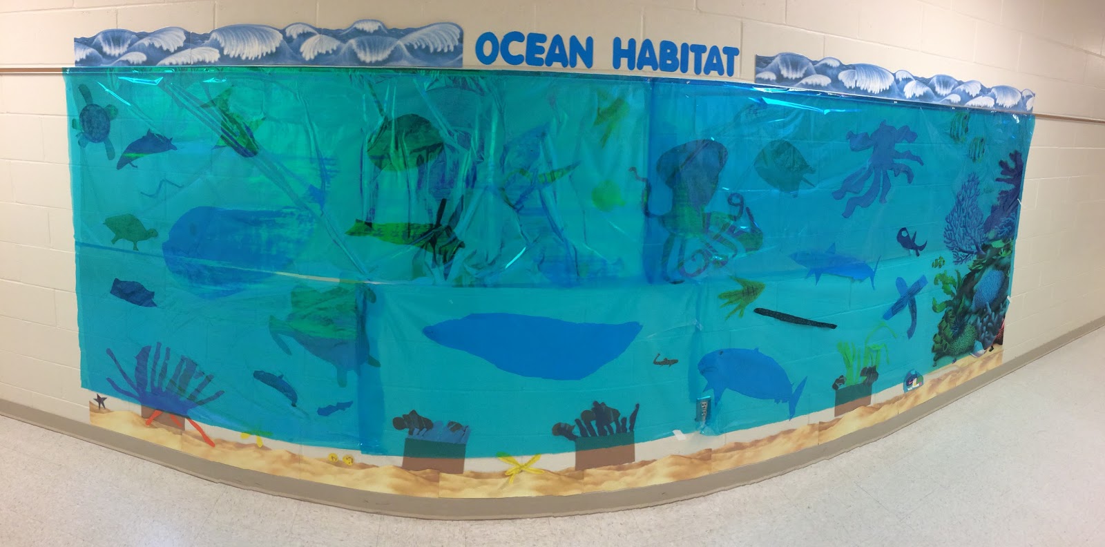 Mr. Hill's 2nd Grade Blog Ocean Habitat