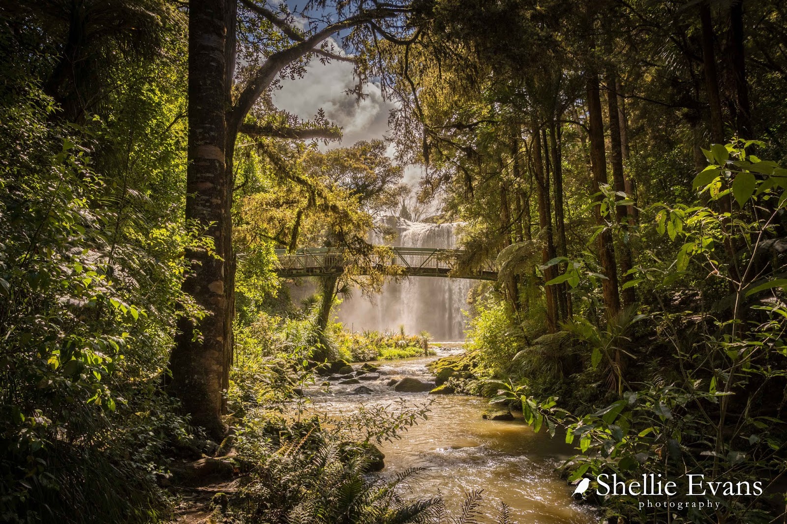 Two Go Tiki Touring Whangarei to Russell & Back