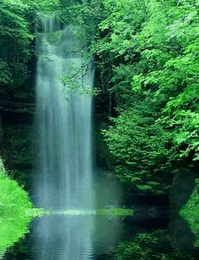 Gambar Animasi Air Terjun Bergerak Waterfall Gif Www Berikut Yg