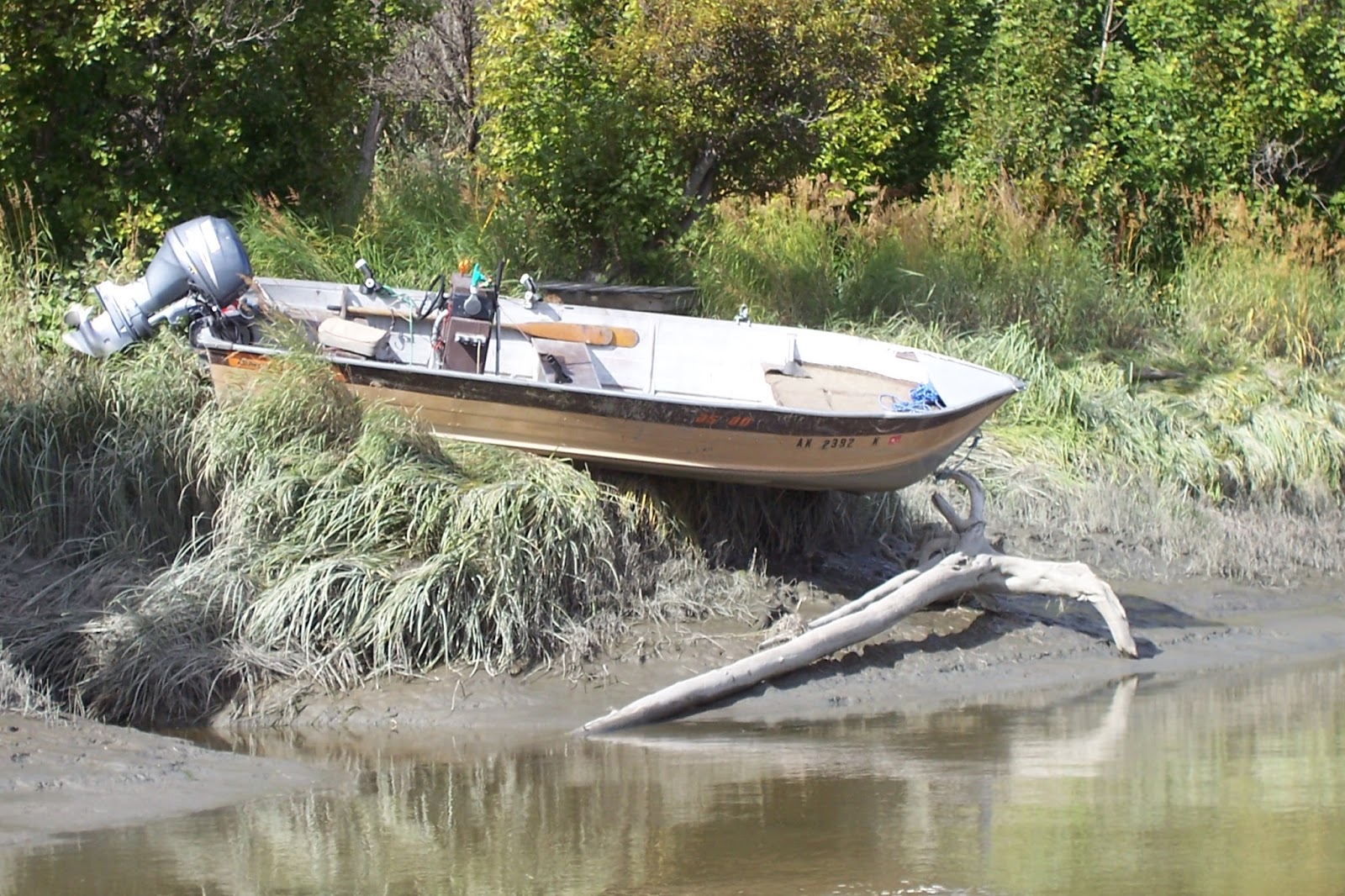 Beaver Creek Cabins & Guide Service Oops