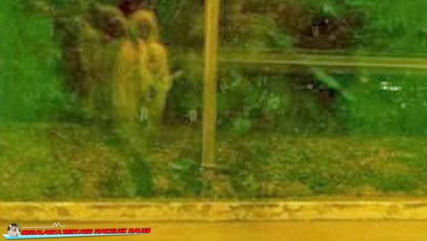 Hantu Terfoto di Pinggir Jalan