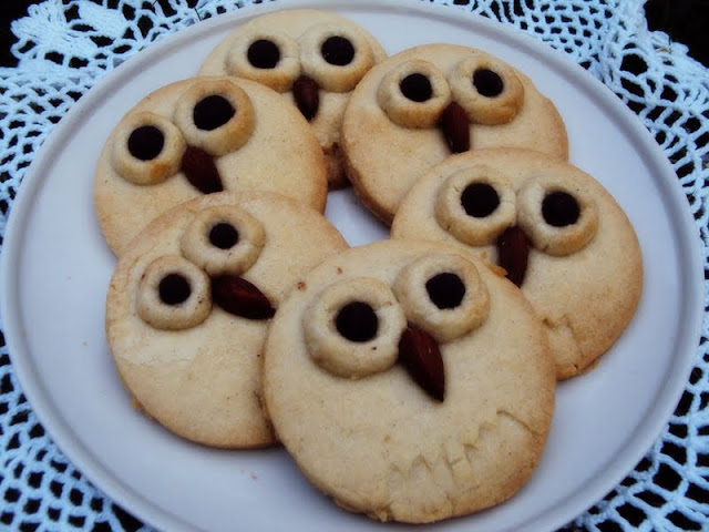 Schnürsenkelrolltreppentod: Owl Cookies