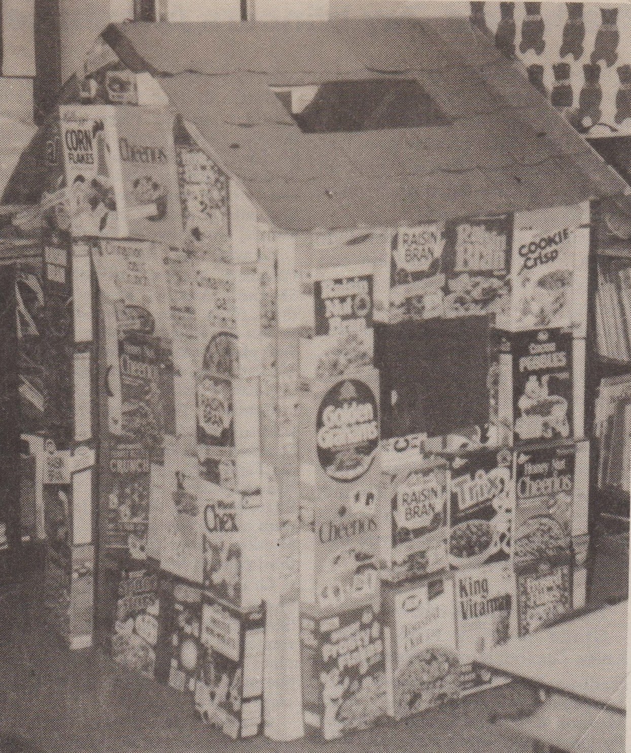 Ms. Nancy's Nook Cereal Box House Learning Center